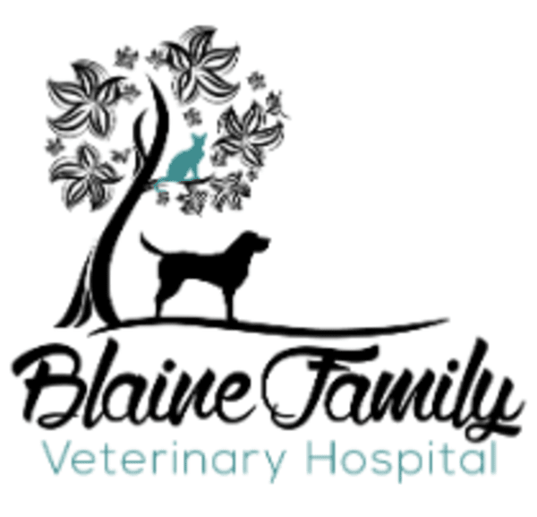 Blaine Family Veterinary Hospital